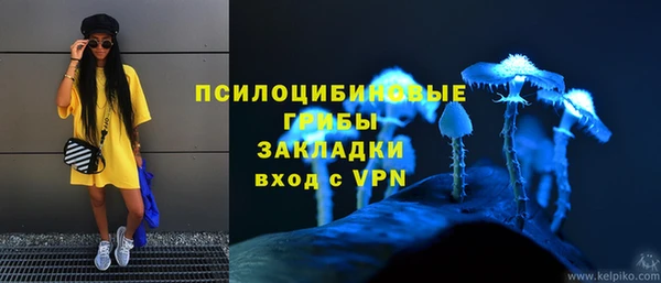 прущая мука Арсеньев