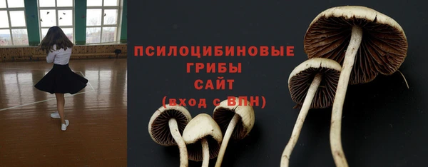 не бодяженный Аркадак