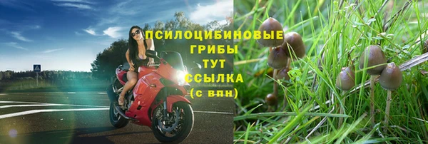 прущая мука Арсеньев