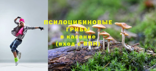 не бодяженный Аркадак