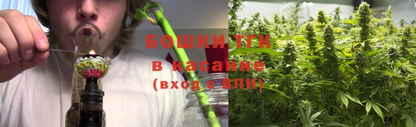 прущая мука Арсеньев